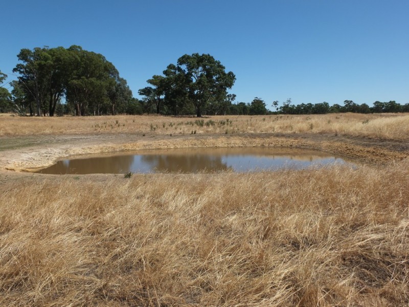 No 1 Creek Road (Avoca), Percydale VIC 3478