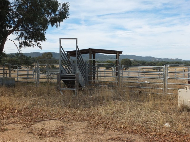 CA 26 Stawell Avoca Rd and 240 McAdams Lane, Moonambel VIC 3478