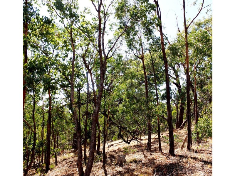 239 McAdams Lane, Moonambel VIC 3478