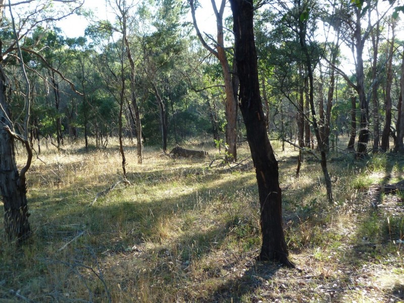 Lot 15 Smythesdale Snake Valley Road, Hillcrest VIC 3351