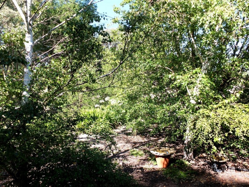 19 Ennis, Amphitheatre VIC 3468