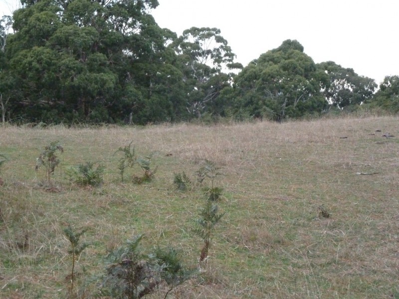 Lot 2 Hillview Road, Brown Hill VIC 3350