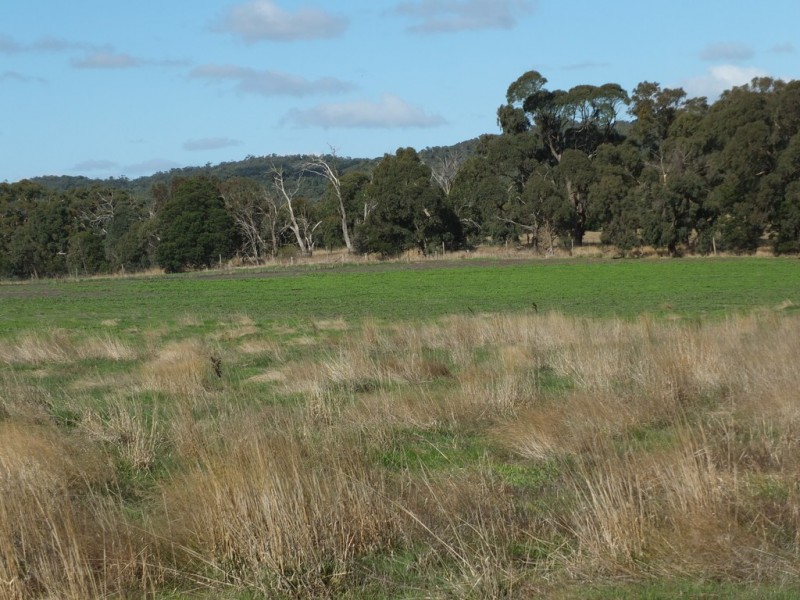 113 Mt Lonarch Road, Mount Lonarch VIC 3468