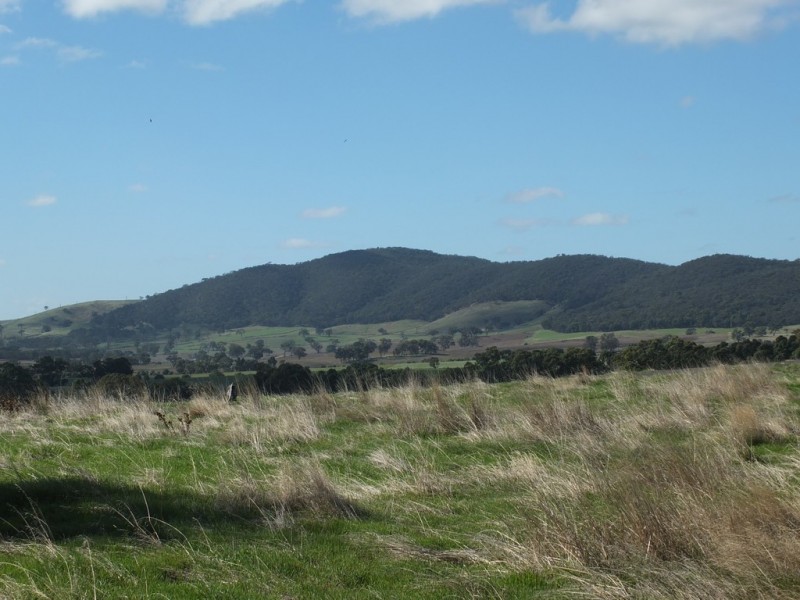 113 Mt Lonarch Road, Mount Lonarch VIC 3468