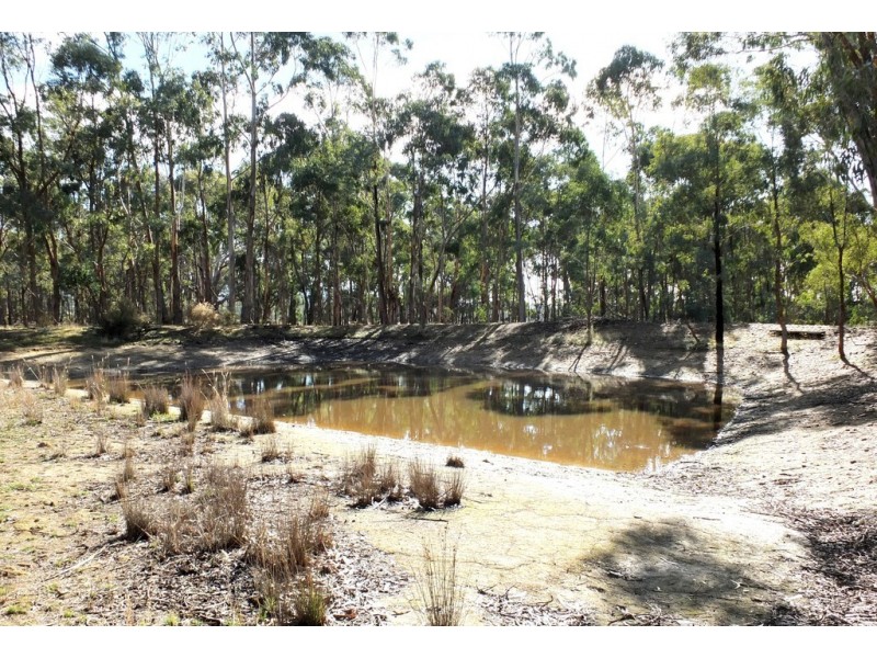 21 Bucknall Road, Tanwood VIC 3478