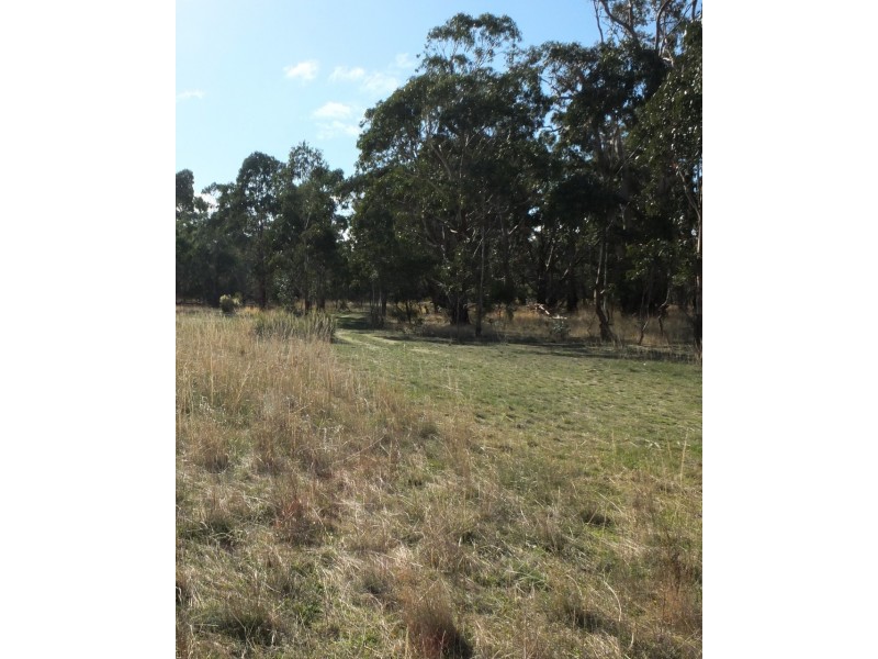 21 Bucknall Road, Tanwood VIC 3478