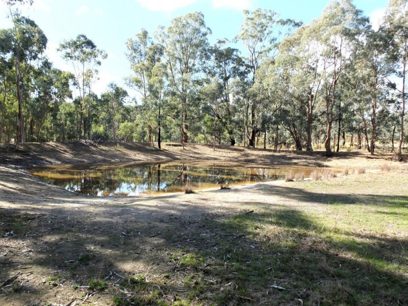 21 Bucknall Road, Tanwood VIC 3478