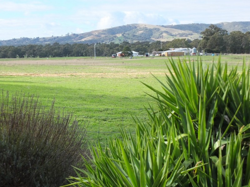 1643 Pyrenees Highway, Amphitheatre VIC 3468