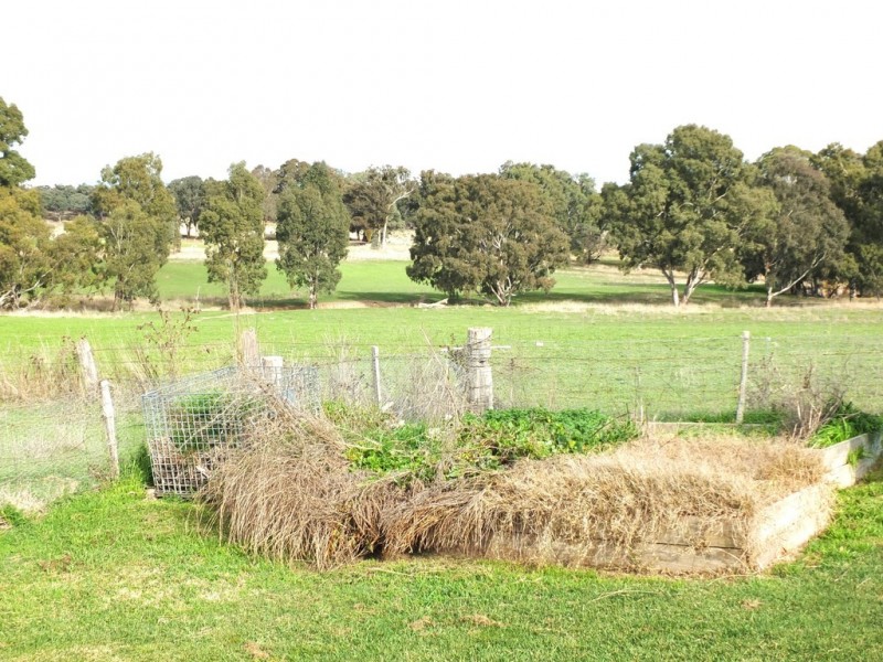 1643 Pyrenees Highway, Amphitheatre VIC 3468