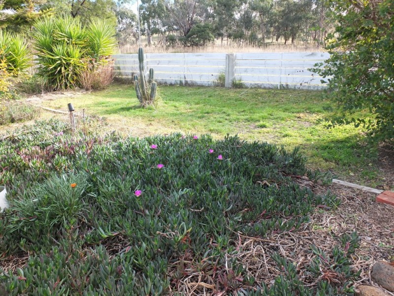 1643 Pyrenees Highway, Amphitheatre VIC 3468