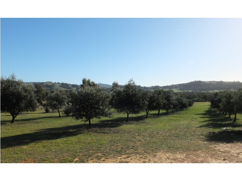 42 Wild Grape Road, Redbank VIC 3477