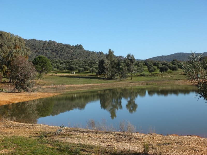 42 Wild Grape Road, Redbank VIC 3477