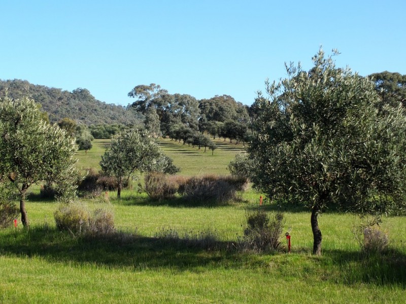 42 Wild Grape Road, Redbank VIC 3477