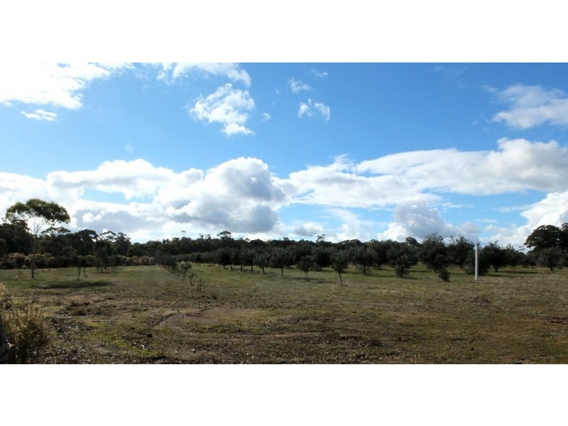 CA 24 Olive Grove Road, Avoca VIC 3467