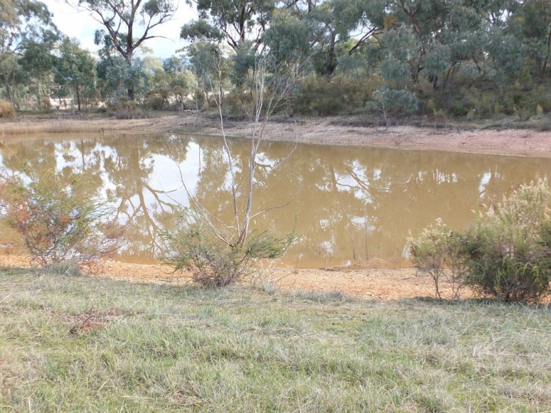 CA 24 Olive Grove Road, Avoca VIC 3467