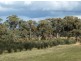 CA 24 Olive Grove Road, Avoca VIC 3467