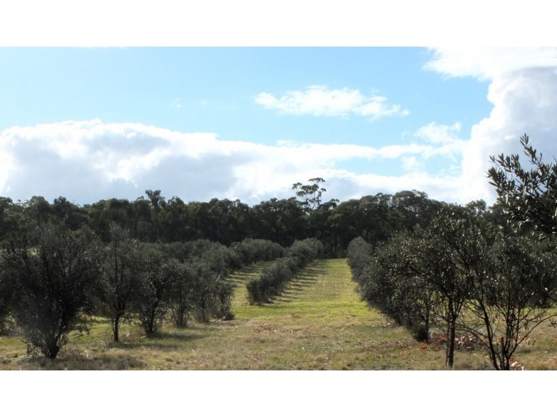 CA 24 Olive Grove Road, Avoca VIC 3467