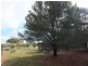 CA 24 Olive Grove Road, Avoca VIC 3467