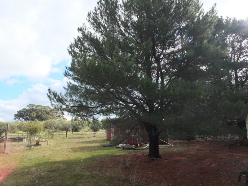 CA 24 Olive Grove Road, Avoca VIC 3467