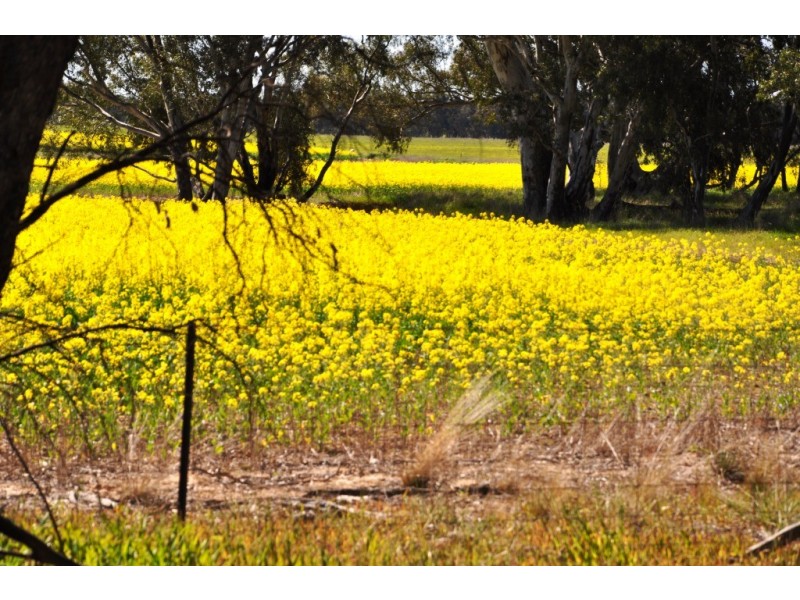 2793 Maryborough-St Arnaud Road, Natte Yallock VIC 3465