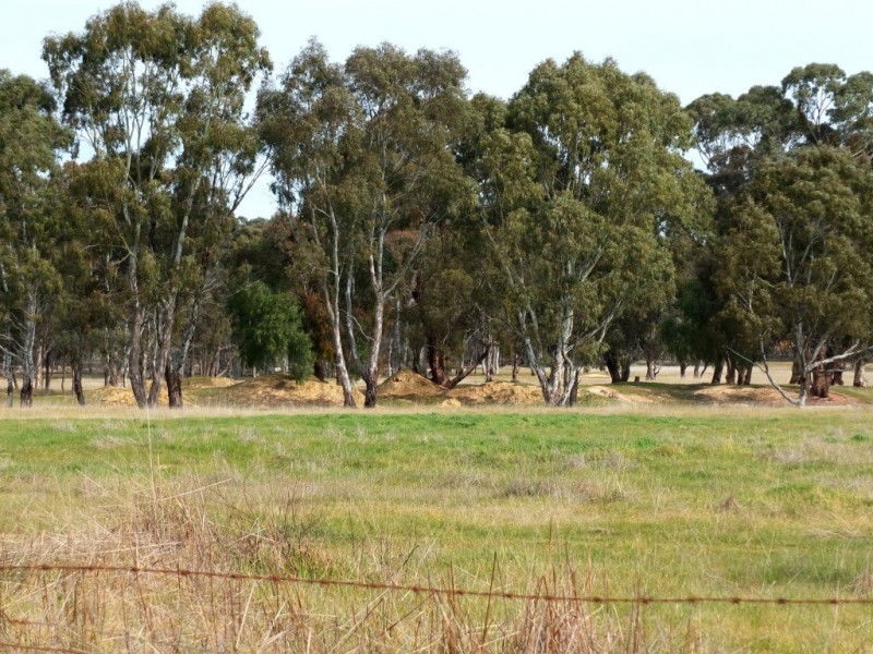 Lots 22, 22A and 25A, Logan Road, Bowenvale VIC 3465