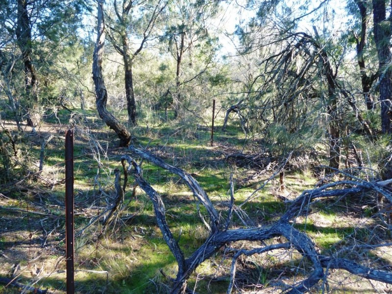 CA 28 Francis Lane, Linton VIC 3360