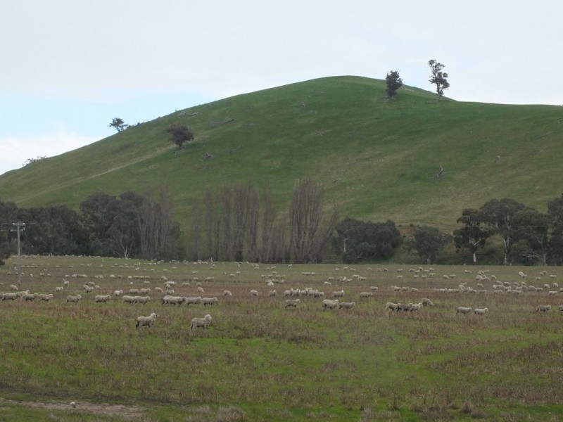 CA 8D1 Elmhurst-Glenpatrick Rd, Glenpatrick VIC 3469