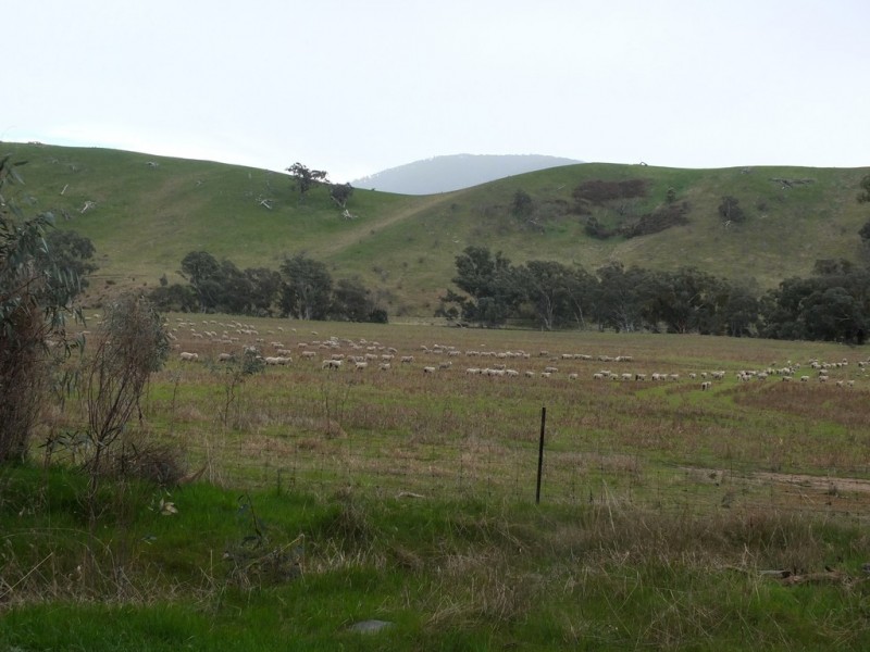 CA 8D1 Elmhurst-Glenpatrick Rd, Glenpatrick VIC 3469