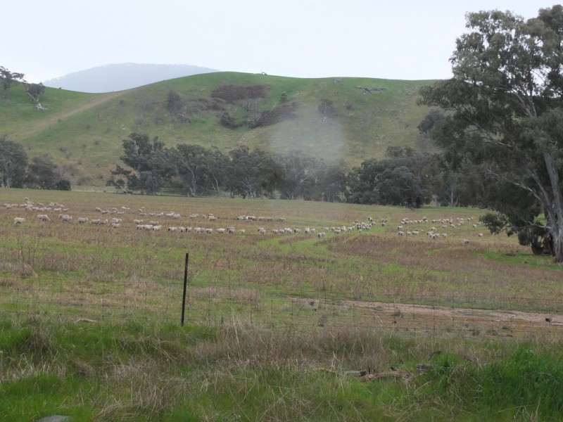 CA 8D1 Elmhurst-Glenpatrick Rd, Glenpatrick VIC 3469