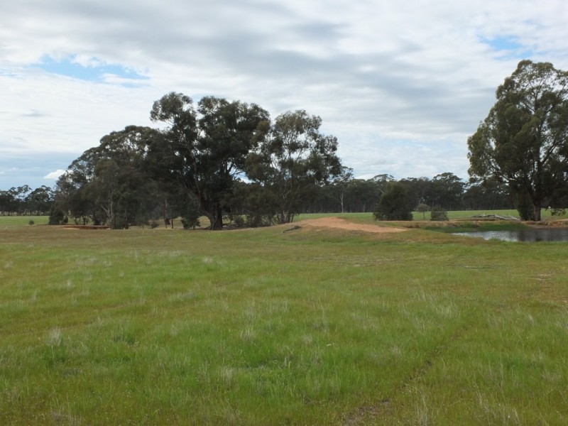 CA’s 17 Dunolly-Stuart Mill Rd, Dunolly VIC 3472