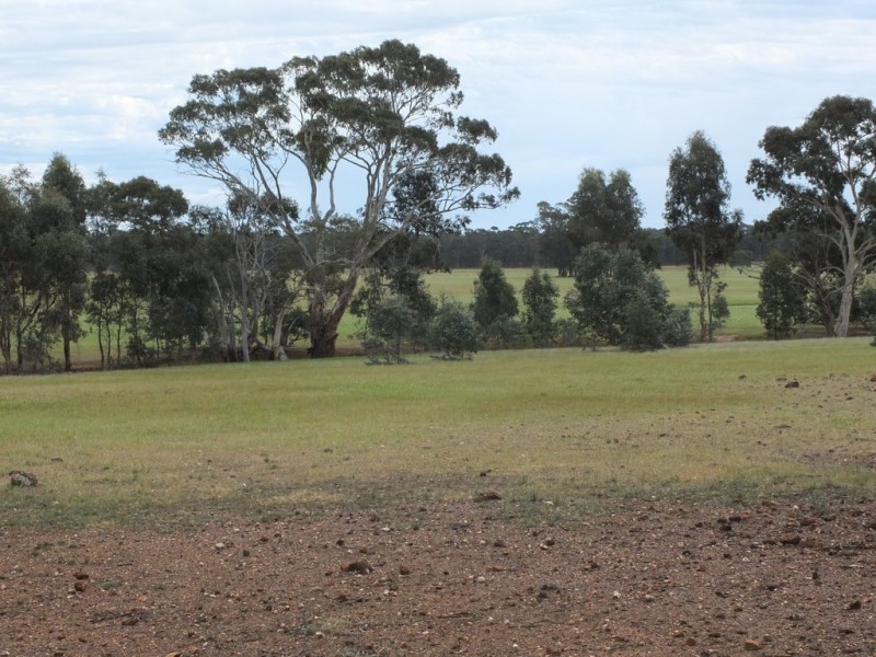 CA’s 17 Dunolly-Stuart Mill Rd, Dunolly VIC 3472