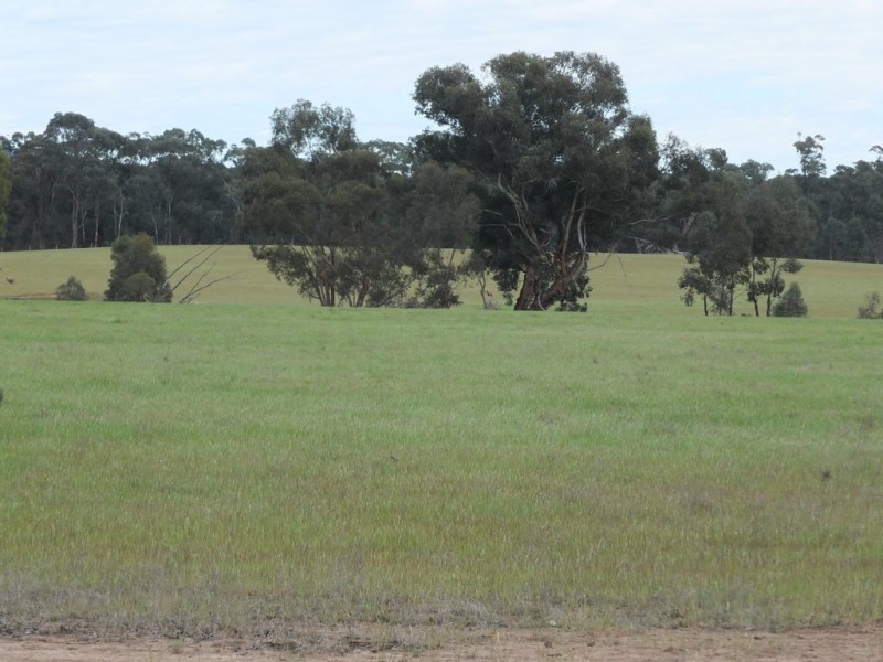 CA’s 17 Dunolly-Stuart Mill Rd, Dunolly VIC 3472