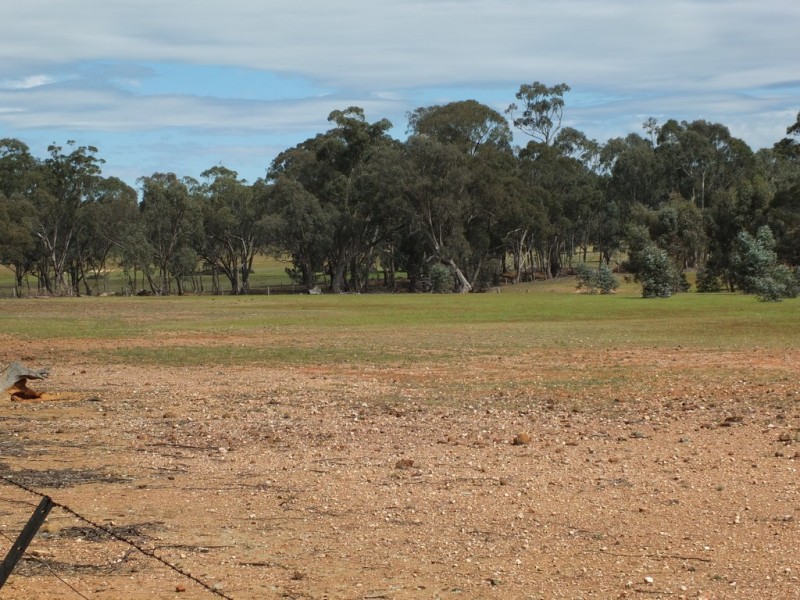 CA’s 17 Dunolly-Stuart Mill Rd, Dunolly VIC 3472