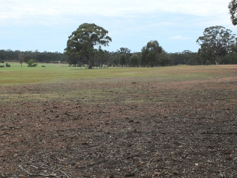 CA’s 17 Dunolly-Stuart Mill Rd, Dunolly VIC 3472