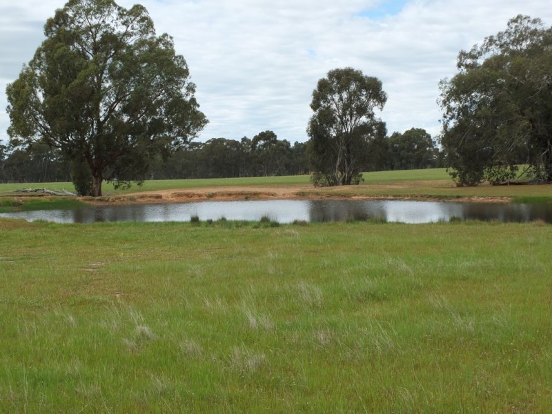 CA’s 17 Dunolly-Stuart Mill Rd, Dunolly VIC 3472