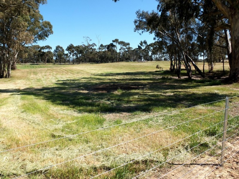 99 Orme Street, Avoca VIC 3467