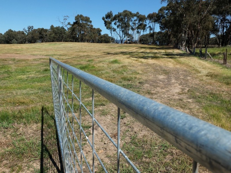 99 Orme Street, Avoca VIC 3467