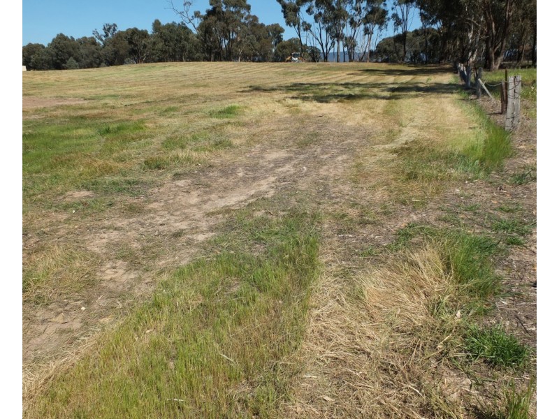 99 Orme Street, Avoca VIC 3467