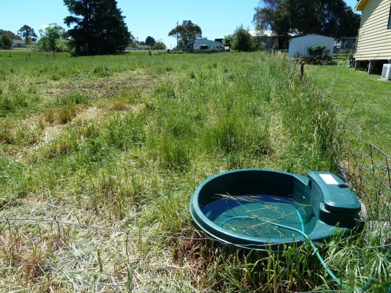 16 Lyons Street, Skipton VIC 3361