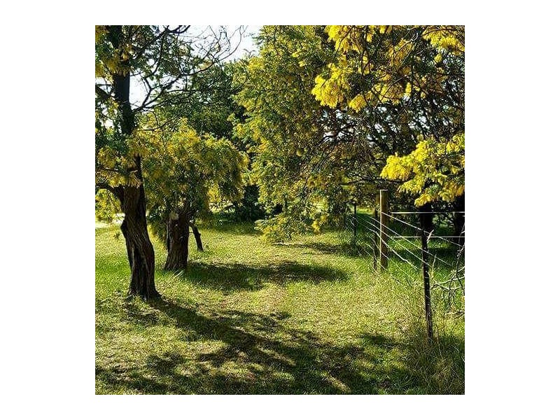 29 Stringybark Lane, Percydale VIC 3478