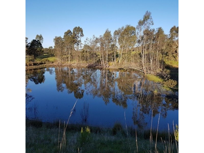 29 Stringybark Lane, Percydale VIC 3478