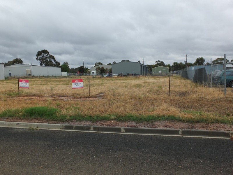 12 Blackney Drive, Avoca VIC 3467