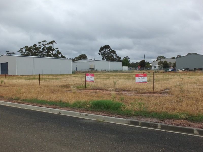 12 Blackney Drive, Avoca VIC 3467