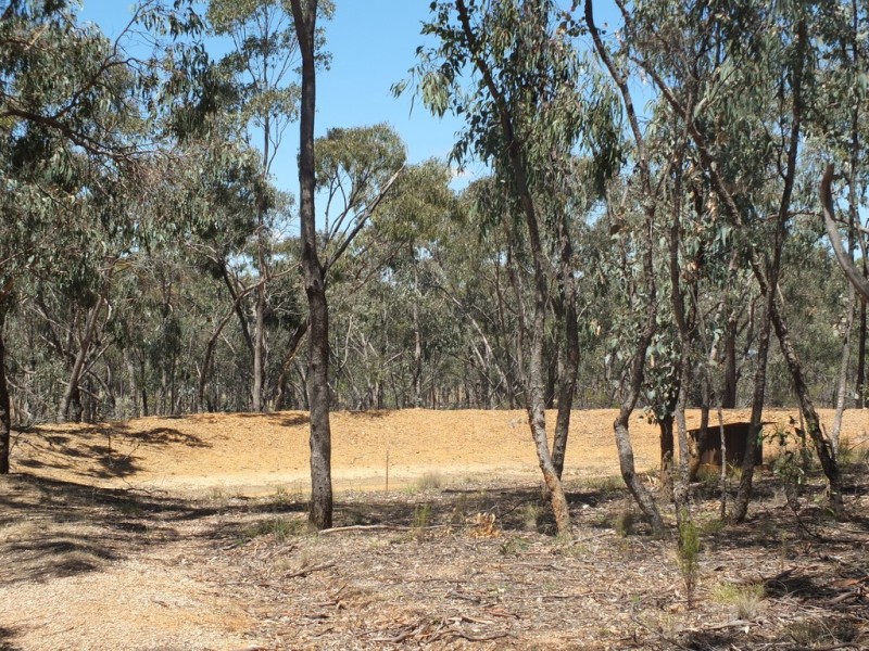 484 Caralulup Road, Lamplough VIC 3352