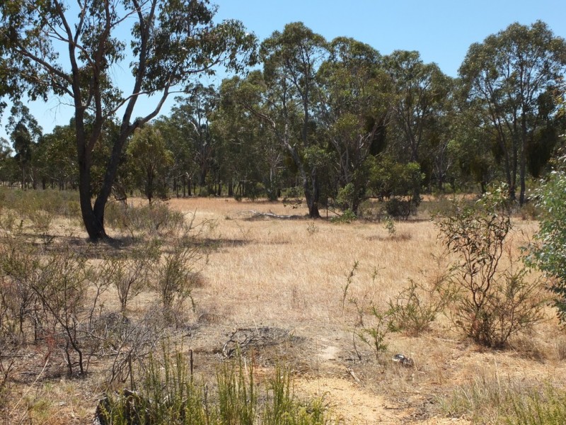 CA 33 Bucknall Road, Tanwood VIC 3478