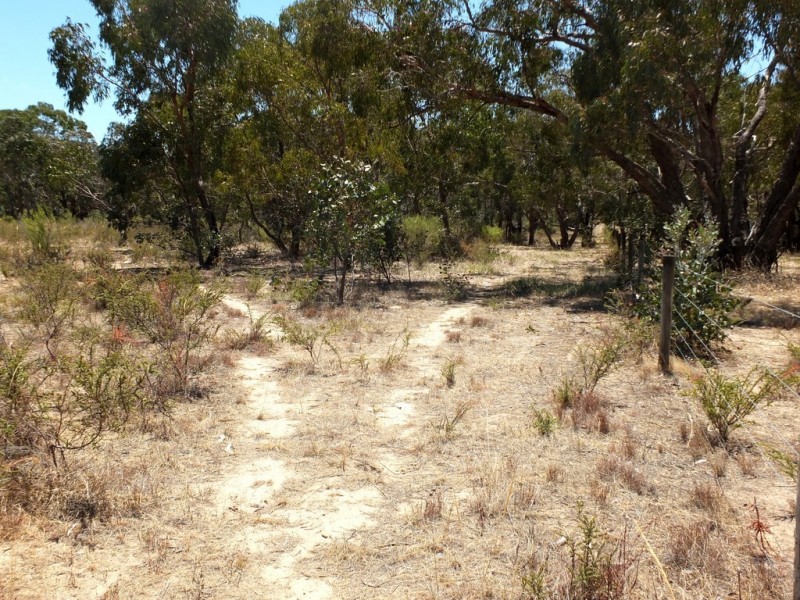 CA 33 Bucknall Road, Tanwood VIC 3478