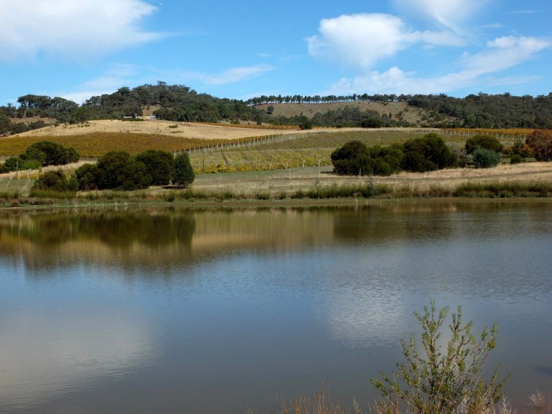 155 Wild Dog Track, Warrenmang VIC 3478