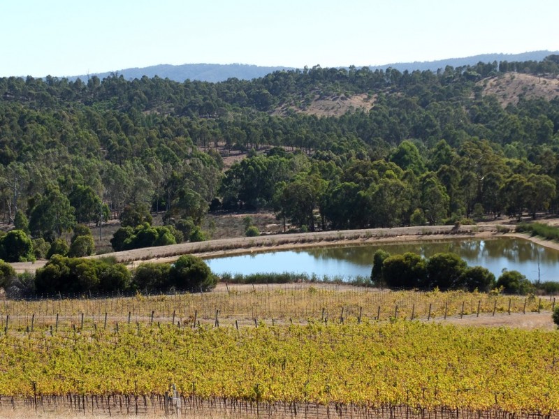 155 Wild Dog Track, Warrenmang VIC 3478