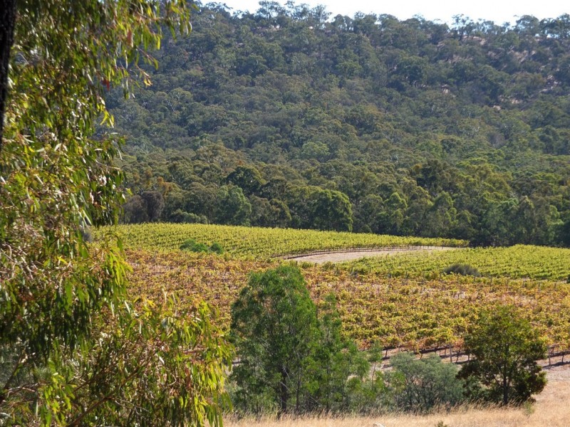 155 Wild Dog Track, Warrenmang VIC 3478