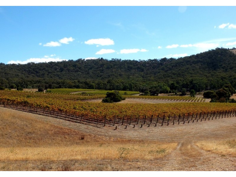 155 Wild Dog Track, Warrenmang VIC 3478